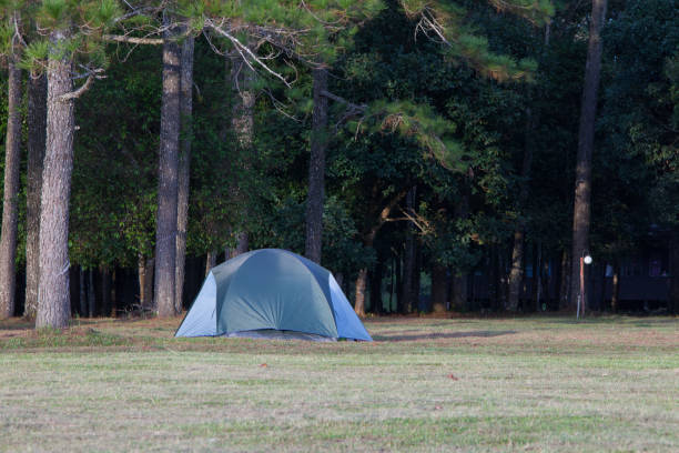 istock Surrounding around camping on Phukardueng Nation Park 860362322