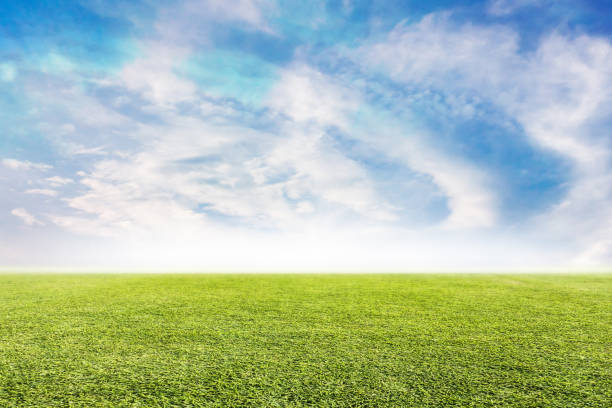 istock Green lawn and sky background 860363854