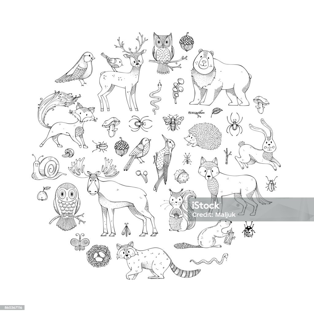 Vector set of doodles wild animals and woodland elements. Hand-drawn fox, wolf, owl, hare, squirrel, moose, deer, bear, raccoon, hedgehog and other mammals and birds. Autumn seeds, leaves, mushrooms. Drawing - Art Product stock vector