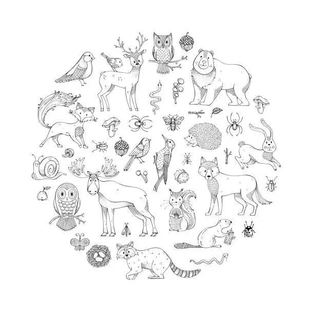 Vector illustration of Vector set of doodles wild animals and woodland elements.