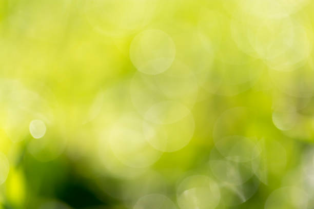 istock beautiful bokeh green nature 860369492
