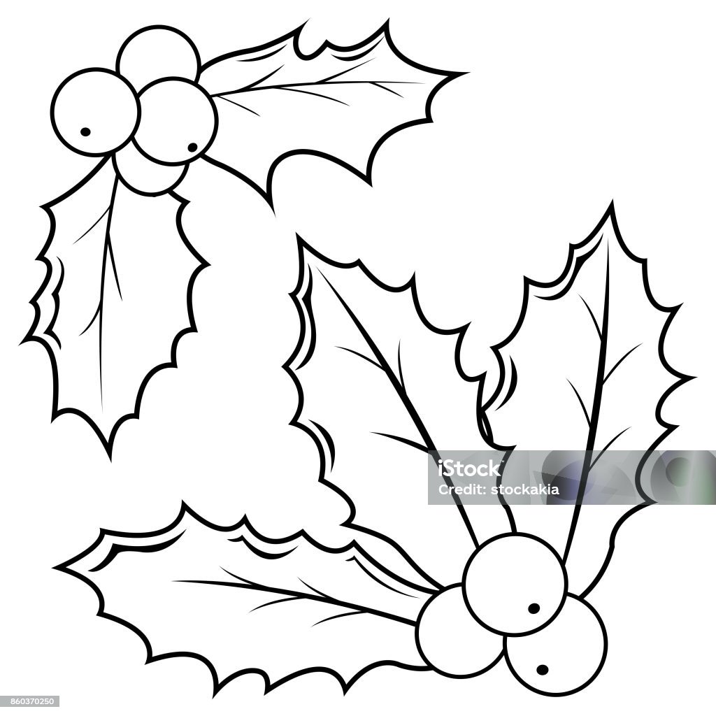 Holly berry sprigs. Black and white coloring book page Holly berry sprigs. Vector black and white coloring book page Holly stock vector
