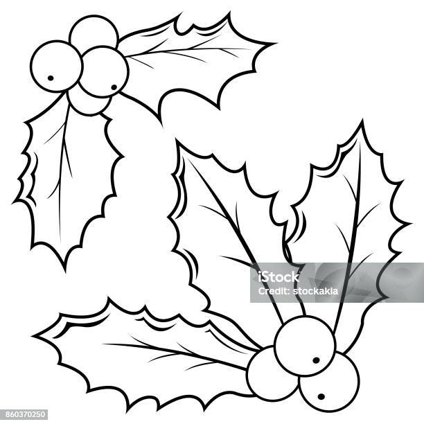 Holly Berry Sprigs Black And White Coloring Book Page Stock Illustration - Download Image Now