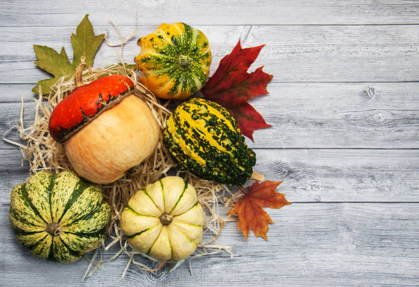 istock Pumpkins with autumn leaves 860373828