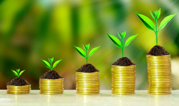istock Stack of coins with growth sprout plant 860377786