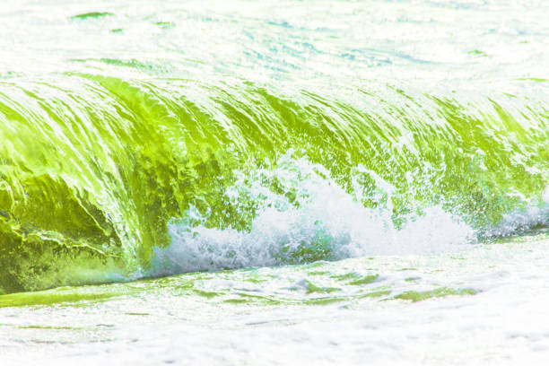 istock Tropical view of blue sea with rolling  waves. 860381856