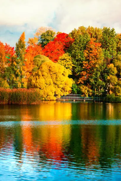 Beautiful autumn park with colourful leaves, trees and lake. Autumn Landscape.Park in Autumn. Forest in October"n
