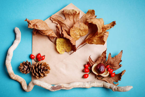 istock Autumn leaves and pine cones on a blue background. Autumn background 860400560
