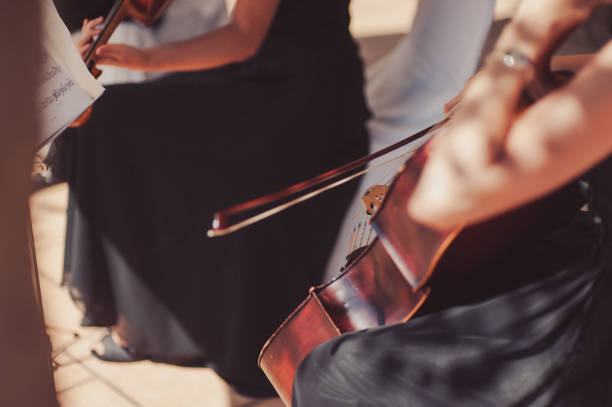 istock Woman playing the double bass on the wedding 860414072