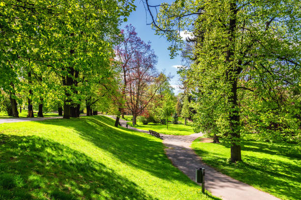 istock Park in the spring with green lawn, sun light. Stone pathway in a green park 860414408