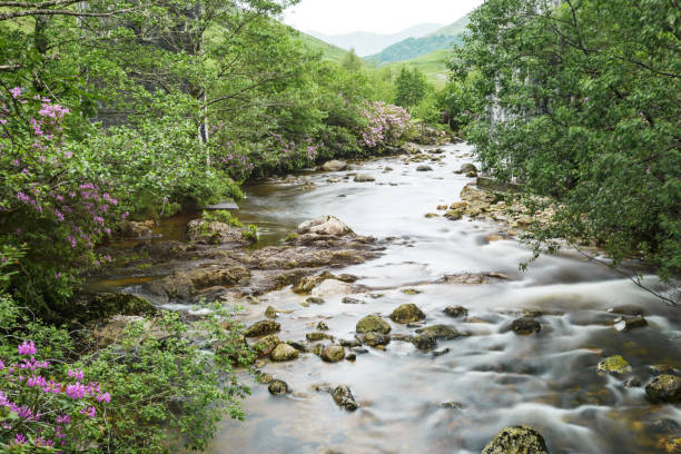 istock view of the Glenfinnan viaduct 860420690