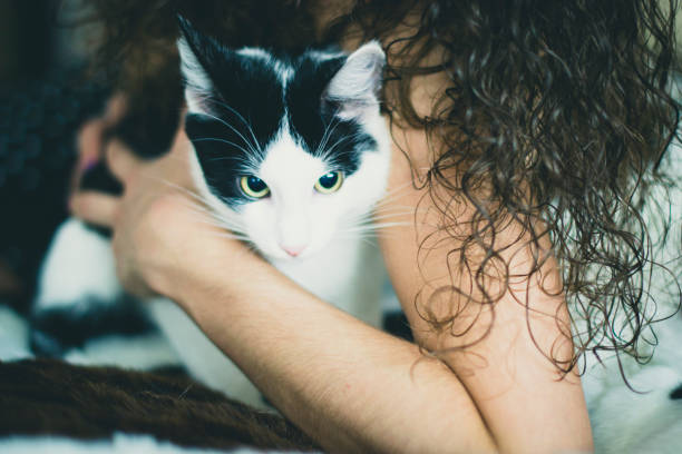 istock Black and white kitten with green eyes, warm toned picture 860423314