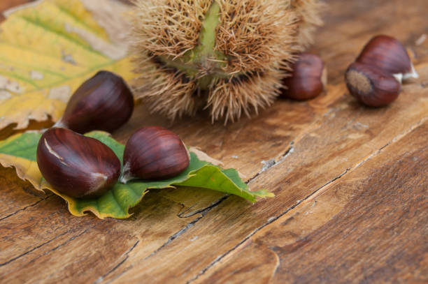 istock chestnuts on wooden bench background 860428520