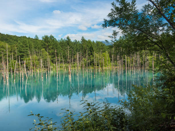 Aoi Ike - Blue Pond - Hokkaido stock photo