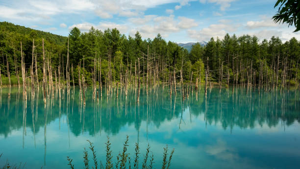 istock Aoi Ike - Blue Pond - Hokkaido 860435702