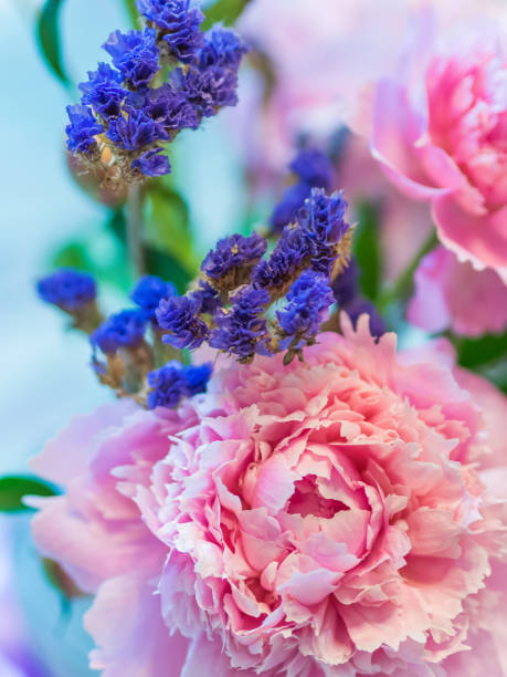 istock Beautiful pink peony and lavender flowers against blurred background. 860435864