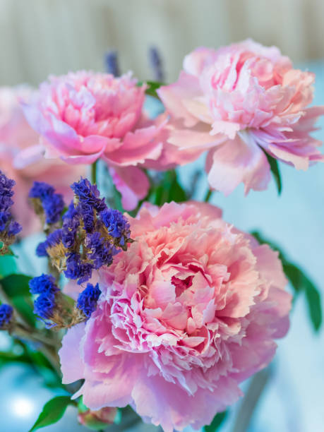 istock Beautiful pink peony and lavender flowers against blurred background. 860435882