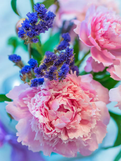 istock Beautiful pink peony and lavender flowers against blurred background. 860435902
