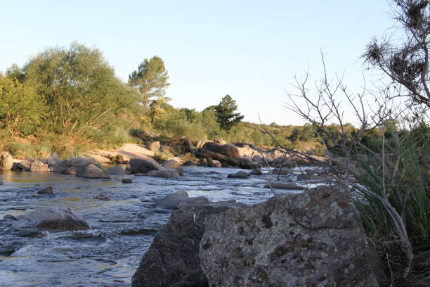istock mountain stream and stones in summer 860439138