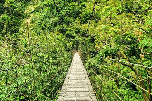 Suspended bridge in Taroko National Park.
