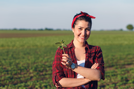Smiling female farmer standing in a soybean field and examining crop. She is holding young plant in her arms.