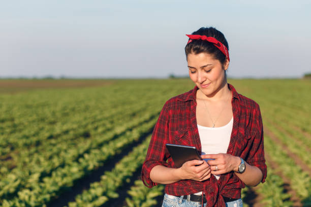 istock Female farmer standing in a field with tablet and examining crop. 860449258