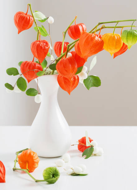 istock red physalis on wooden table 860464098