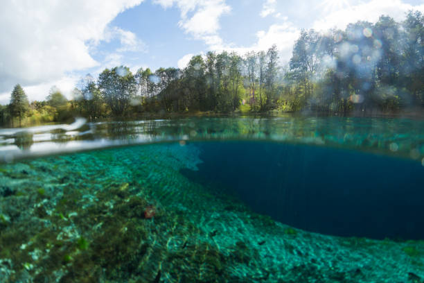 istock Split underwater view of the karst lake 860472672