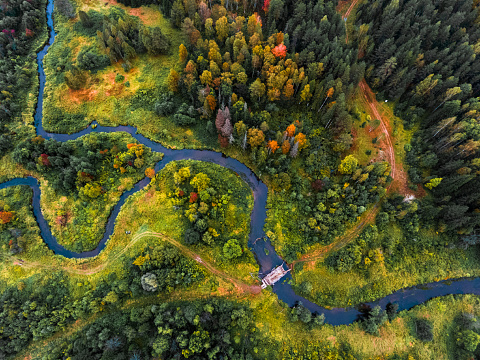 Aerial view of the small river with bridge and colorful autumn forest. Russia