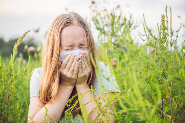 Young woman sneezes because of an allergy to ragweed stock photo