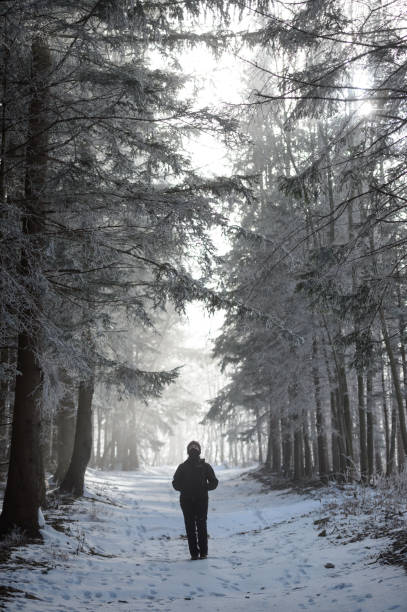 istock Woman in morning forest 860480128