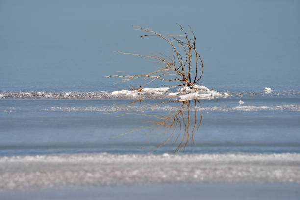 istock Fragments of salt lake 860504898