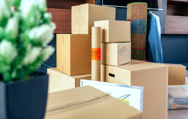Stacked moving boxes and plant stock photo