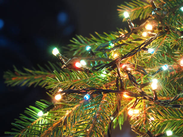 julbelysning på granen, dekorativa krans i mörkt utrymme - julön bildbanksfoton och bilder