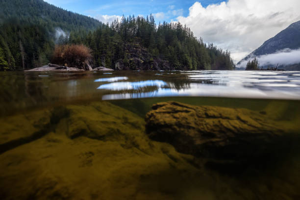 Over and Under picture of a beautiful nature landscape at Buntzen Lake, Anmore, Greater Vancouver, BC, Canada. Taken during a cloudy spring day.