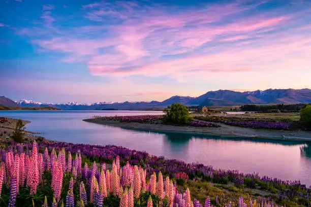 Photo of Lake Tekapo At Dawn, New Zealand South Island