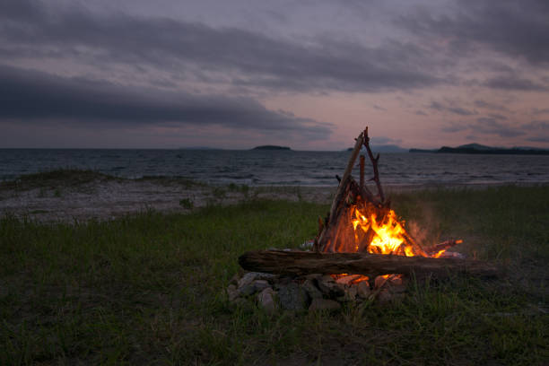 istock fire burning on the beach at night. bright fire, firewood. 860528964