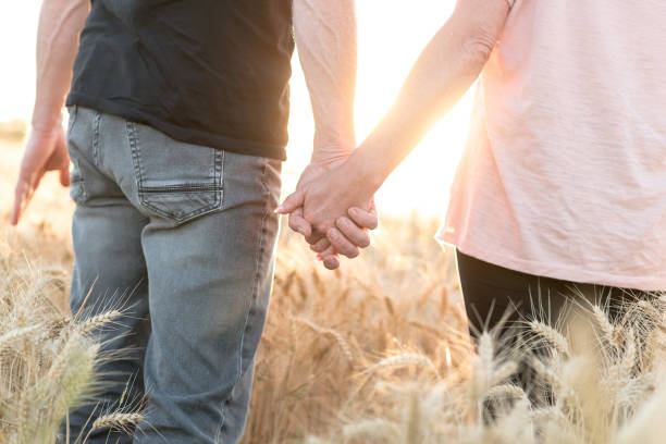 istock Couple holding hands in a wheat field at sunset, sunlight effect 860540320