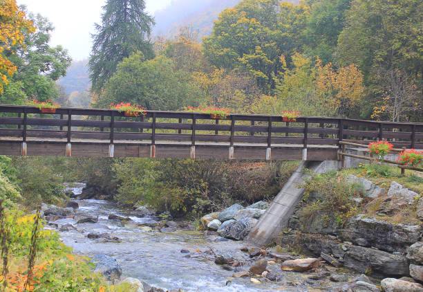 istock wooden bridge over the river 860545828