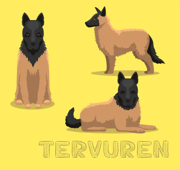 Vector illustration of Dog Tervuren Cartoon Vector Illustration
