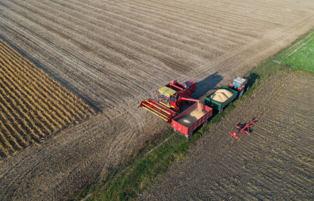istock Soybean harvest from air 860553126
