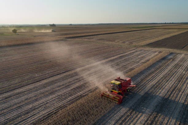 istock Soybean harvest from air 860553582