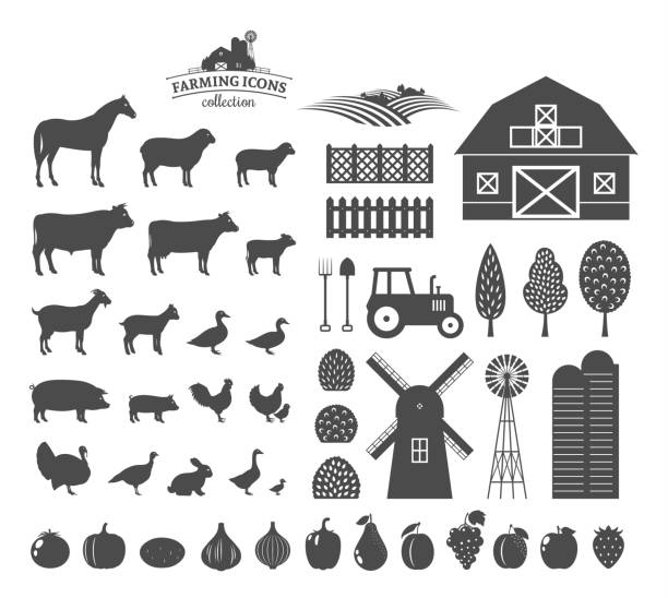 Vector farming icons and design elements Vector farm and farming icons and design elements. Farm animals collection. Fruits and vegetables icons butchers shop illustrations stock illustrations