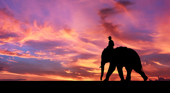 Mahout ride elephant  journey through countryside with amazing sky,Thailand.