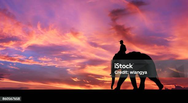 Mahout Ride Elephant Stock Photo - Download Image Now - Elephant, Riding, Men