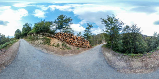Equirectangular Panorama: Road in the Alps mountain forests