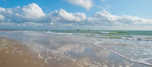 istock Sandy beach along a sea in sunlight in summer 860571202