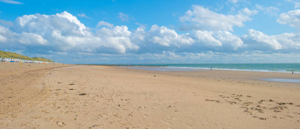istock Sandy beach along a sea in sunlight in summer 860571736