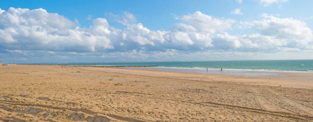 istock Sandy beach along a sea in sunlight in summer 860573972