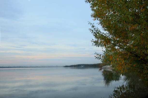 istock branches of the willow bent over the lake 860574906